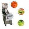 Multifunctional Green Onion Vegetable Chopper Vegetable Cutting Machine Fruit Cutter