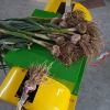 Flat Type Small Green Garlic Root Cutting Machine Garlic Stem Cutter