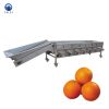 Factory Supply Fruit Lemon Orange  Sorter Machine Vegetable Potato Tomato Washing and Grading Processing Line 