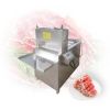 industrial frozen meat slicer from Elva