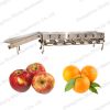 Factory Supply Fruit Lemon Orange  Sorter Machine Vegetable Potato Tomato Washing and Grading Processing Line 