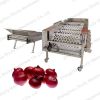 Commercial onion potato cherry tomato vegetables feeder and grading machine for different levels