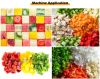 Vegetable And Fruit Cube Cutting Machines Green Onion Potato Dicing Cutter Machine