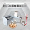 Chicken Eggs Grading Machine