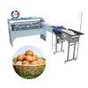 egg grading sorting machine/egg grader for sale egg grading packing machine