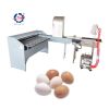 egg grading sorting machine/egg grader for sale egg grading packing machine