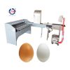 egg grading sorting machine/egg grader for sale egg grading packing machine