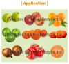 Hot sale tomato roller sorter lemon orange round fruits grader machine