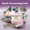 Electric garlic clove separation machine garlic clove separator garlic Peeling machine