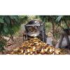 cocoa bean separator/commercial cocoa pod breaker shelling machine fresh cocoa pods hulling machine