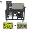 Industrial Plum Decorn Cherry Corer Olive Coring Apricot Destone Seeding Remove Fruit Pitting Machine