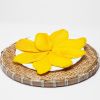 Soft Dried Mango