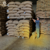 Green Arabica Beans fr...