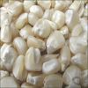 white maize non gmo wh...