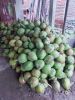 sell fresh Coconut, young coconut, coconut water.