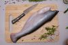 PANGASIUS HGT (HEADLESS - GUTTED - TAIL OFF)