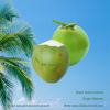Green husk coconut