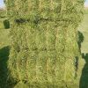 Premium Quality Alfalfa Hay Exporters, Suppliers &amp; Processor from Pakistan