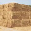 Top Quality Peanut Straw Exporters For Cattle Forage From Pakistan