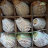 Leading exporter of Coconut/ Ben Tre VN (Whatsapp +84 769 026 486)