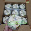 Fresh Young Coconut Ben Tre_Extremely Sweet (Whatsapp +84 906 911 567)