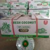 Leading exporter of Coconut/ Ben Tre VN (Whatsapp +84 769 026 486)