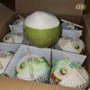 Fresh Young Coconut Ben Tre_Extremely Sweet (Whatsapp +84 906 911 567)