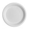 9-Inch Christmas Party Compostable Tableware Disposable Biodegradable Dinner Plate Bagasse Plate (500 Pcs/Box)