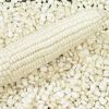 white maize grain non ...