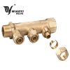 Brass Manifold