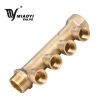 Brass Manifold