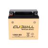 Cubwill Brand Popular BATTERY FOR MOTORCYCLE OEM Accepted Tools Electronics Power