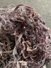 Dried Sea moss / Irish sea moss from ocean Vietnam / Lima +84 346565938 (whatsapp)