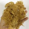 Dried Sea moss/ Wildcrafted sea moss/ Eucheuma Cottonii/ Irish moss from ocean Vietnam / Lima +84 346565938 (whatsapp)