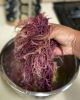 Dried Sea moss/ Wildcrafted sea moss/ Eucheuma Cottonii/ Irish moss from ocean Vietnam / Lima +84 346565938 (whatsapp)