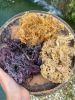 Dried Sea moss/ Wildcr...