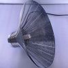 Ceiling horn light (sp...