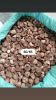 Betel Nuts
