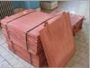 Copper Cathode and Scrap 