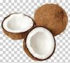 Fresh Coconut