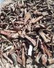 Fire wood fuel logs