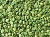 Raw Coffee Beans , Ara...