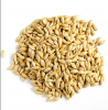 Barley Grains Premium ...