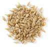 100% Malt Barley,Best ...