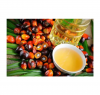 RBD Palm kernel Oil CP10 Refined Vegetable Oil