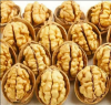 New crop walnut kernel...