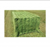 High Quality Wholesale Alfalfa Hay in Bales for Animal Feed / Alfalfa hay with high protein for animal feeding