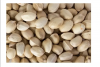 Pistachio Nuts / Raw Pistachio / Pistachio Kernel For Sale