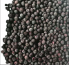 Best quality new crop Blueberry Frozen Blueberry IQF Blueberry