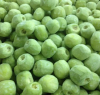 Healthy food premium quality crispy dried fruit freeze dried kiwi fruit
